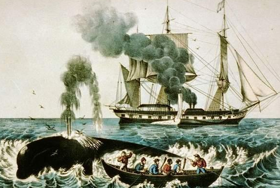 鲸油有什么用 鲸油能燃烧多久