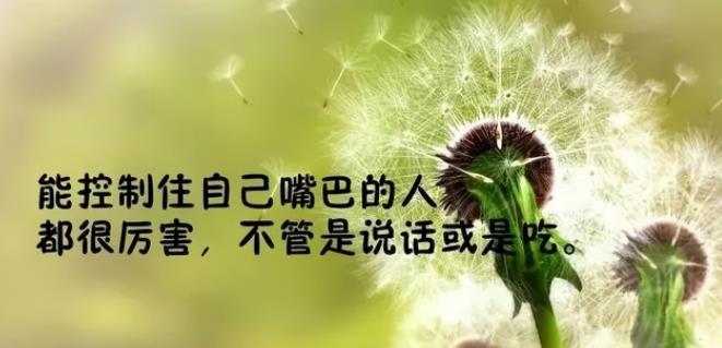 语录感悟人生经典句子 励志语录经典短句