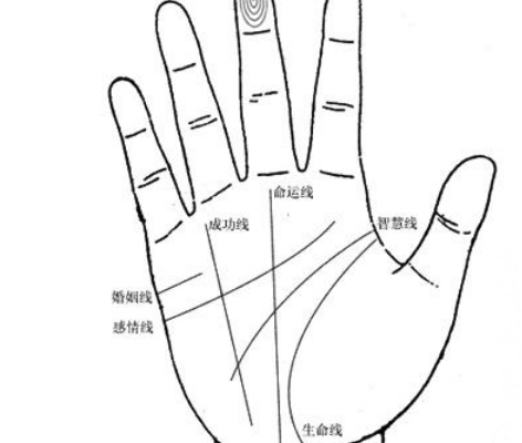 掌纹的三条线代表什么 掌纹多而乱代表什么