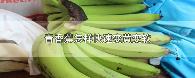 青香蕉怎样快速变黄变软