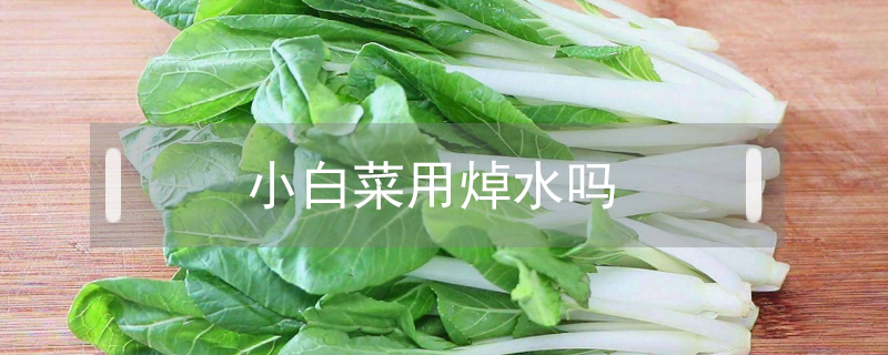 小白菜用焯水吗