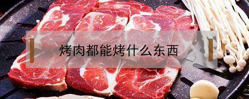 烤肉都能烤什么东西