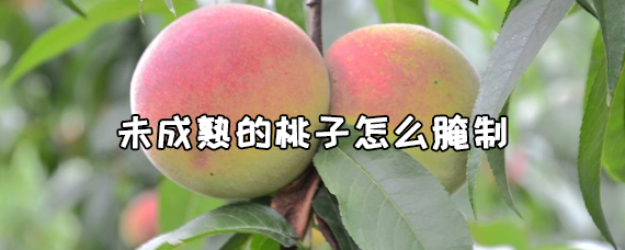 未成熟的桃子能吃吗？未成熟的桃子怎么腌制？