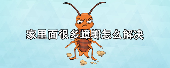 家里面很多蟑螂怎么解决 家里面有蟑螂用什么东西能彻底消灭