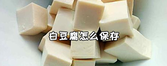 白豆腐怎么保存