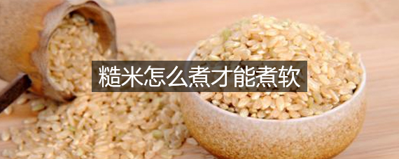 糙米怎么煮才能煮软 糙米糖尿病人能吃吗