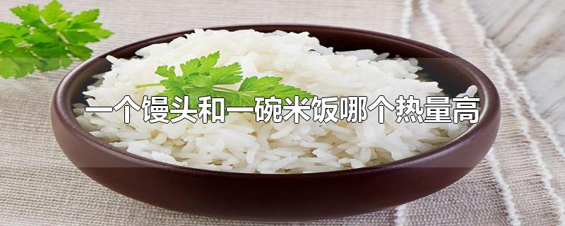 一个馒头和一碗米饭哪个热量高 馒头和米饭哪个好消化