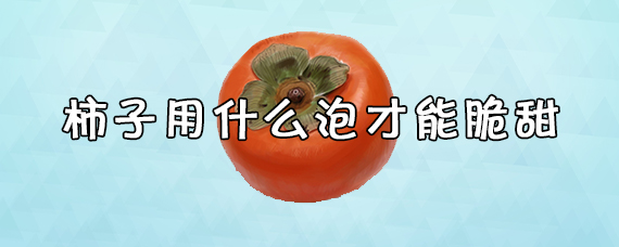 柿子用什么方法泡才能又脆又甜