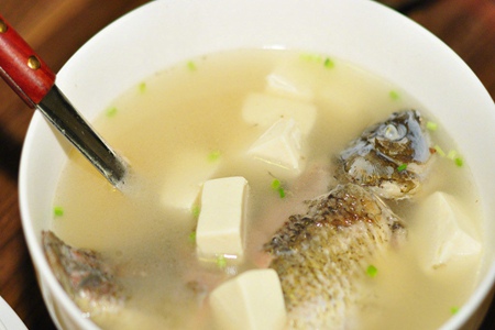 豆腐怎么做好吃又简单？有营养的豆腐汤做法