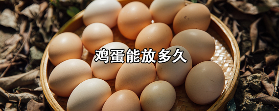 清洗过的鸡蛋能放多久 鸡蛋能放多久