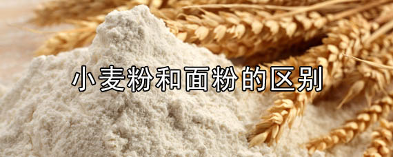 小麦粉和面粉的区别/小麦粉和面粉的区别在哪里