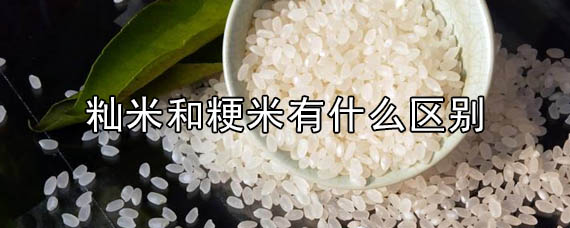 籼米和粳米的区别是什么？哪个煮饭好吃？