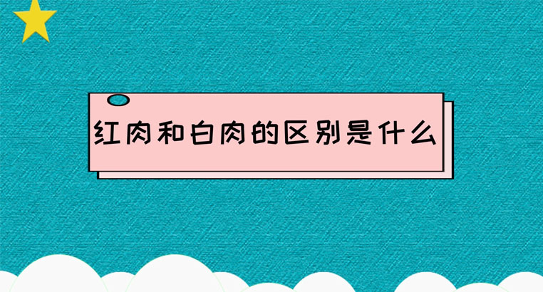 红肉和白肉有什么区别 哪个更健康