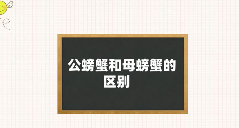 公螃蟹和母螃蟹有什么区别 哪个好吃