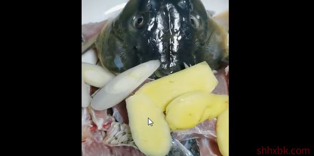 广式鳗鱼饭的做法鲤鱼饭怎么做才好吃 鲤鱼饭的做法食谱